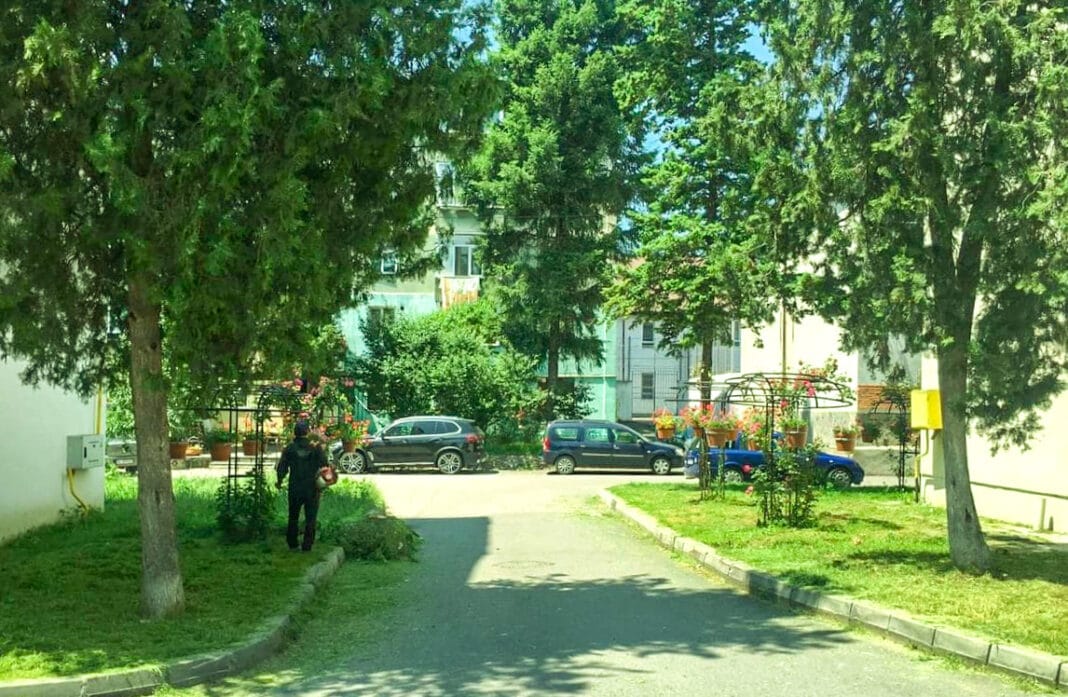 Primaria Municipiului Dragasani a demarat o amplă campanie de amenajare a spațiilor verzi și parcurilor în pregătirea sezonului estival.