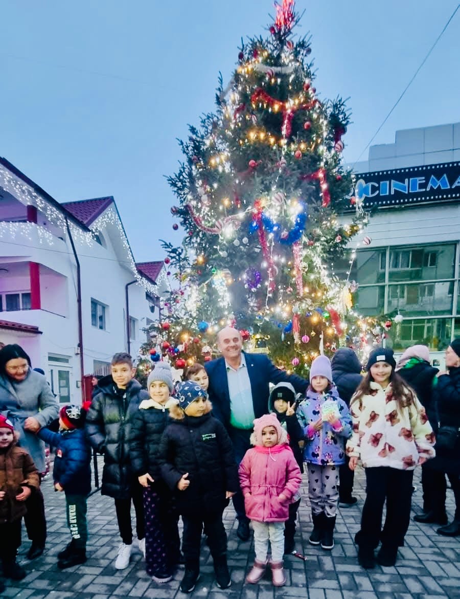 Bradul de Craciun Drăgășani